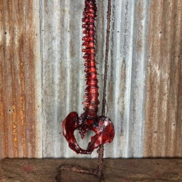 Bloody Spine prop