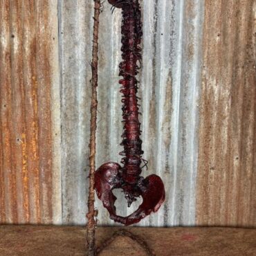 Bloody Spine prop w/ Barbwire