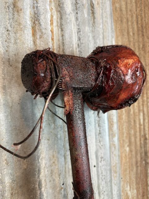 Skull Crushers - Image 37
