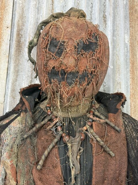 RTS Thornjaw Full Costume - Image 2
